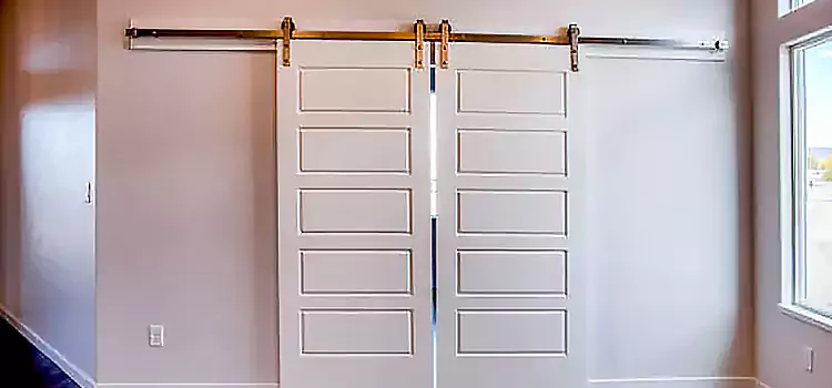 Glass Barn Door with Installation Hardware Kit Pembroke Pines