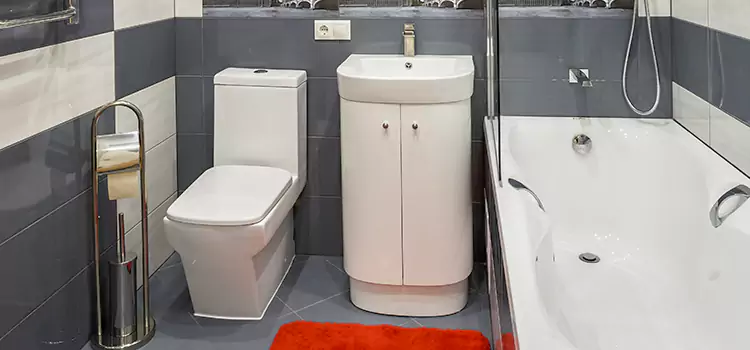 Hansgrohe Shaving Mirror Pembroke Pines